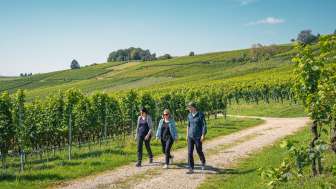 2024, Schaffhouse, Suisse Tourisme, Thurgovie