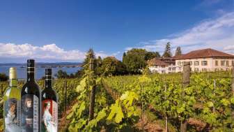 L'expérience du vin à Arenenberg