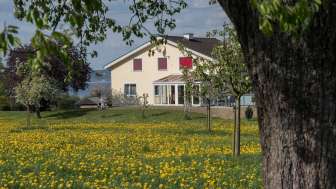 Ferme Seealp