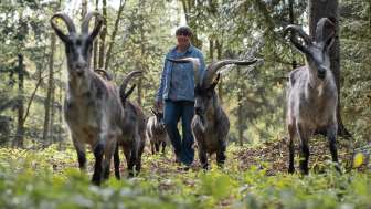 Geissgada – Des événements autour des chèvres, avec du cœur