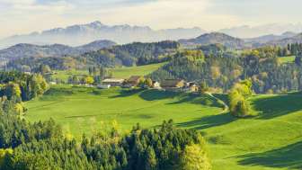 ZOTourisme