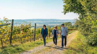 Iselisberg Kunst Wein Herbstkampagne ST 2024 3 (1)