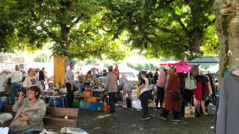Marché aux puces au Dreispitzpark de Kreuzlingen Marché aux puces au Dreispitzpark de Kreuzlingen
