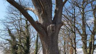 Lieu de baignade Güttingen