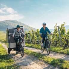 2024, Schaffhouse, Suisse Tourisme, Thurgovie