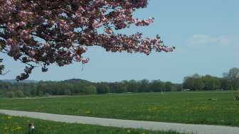 Allmend Frauenfeld Allmend Frauenfeld