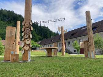Fischingen_Hoernli-Bergland_clairière_4