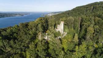 Ruine du Neubourg
