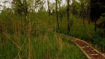 Réserve naturelle de Hudelmoos