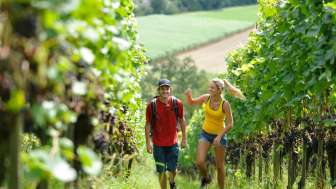 Chemin du vin de Weinfelden