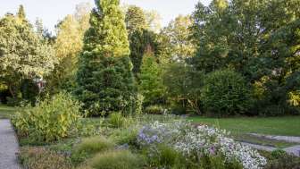 Jardin botanique