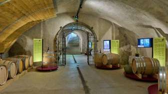 Ausstellung: 2000 Jahre Wein auf Arenenberg