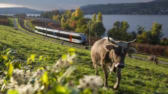 Découvrir la ligne du lac avec Thurbo