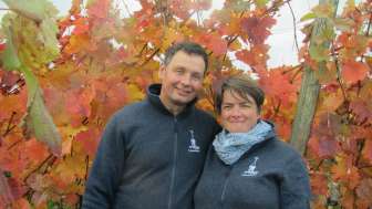 Domaine viticole Türmliwy