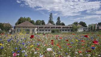 Le monde du jardin d'Arenenberg