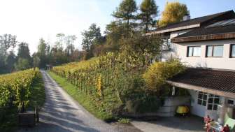 Domaine viticole Wolfer