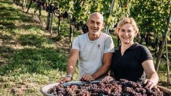 Haag Weine - Vinothèque