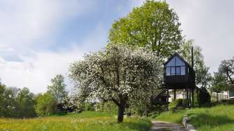 Cabane dans les arbres Thurgovie