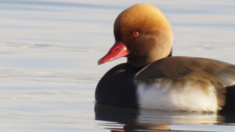 Copie de Insta Standart 20231203 183508 0000