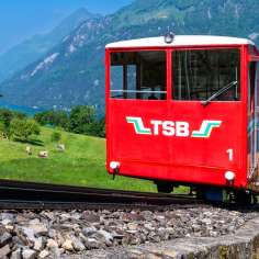 seelisberg, lac, lac des Quatre-Cantons, été, treib-seelisberg-bahn, vtrk (Verein Tourismusregion Klewenalp), treib, vue