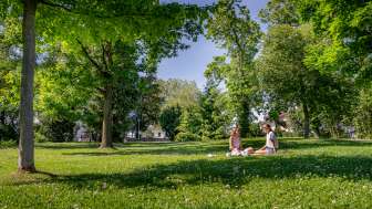 Parc municipal d'Arbon